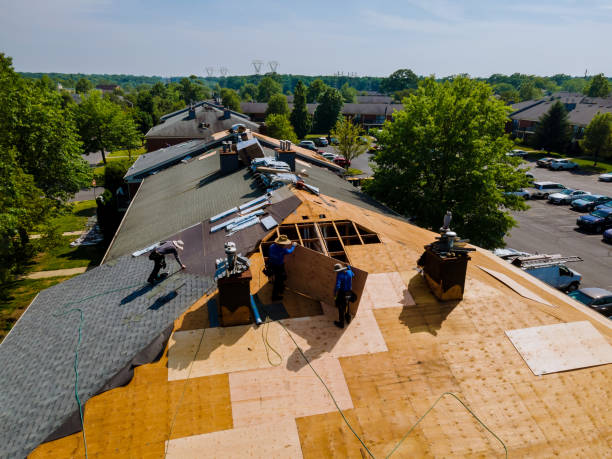 Trusted Roof Repair service in Pine Ridge, KY - Brentwood Metal Roofing